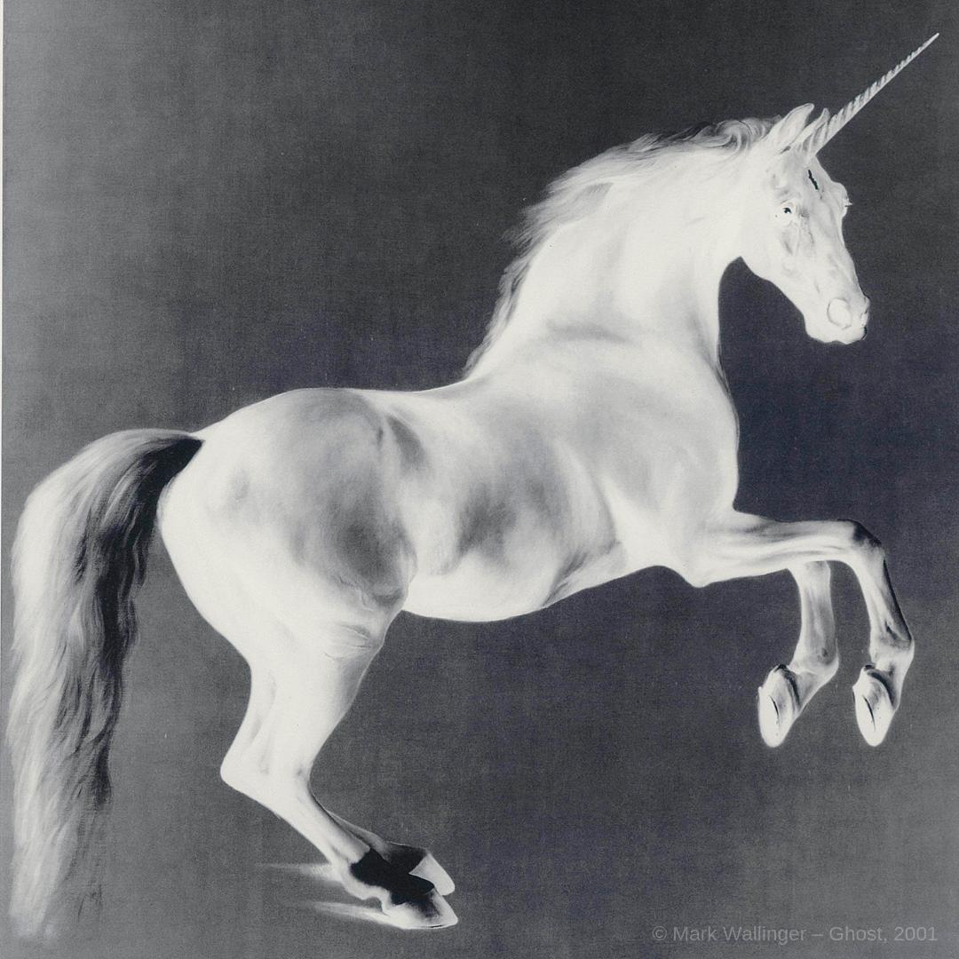 Artwork of a white unicorn standing on it's back legs