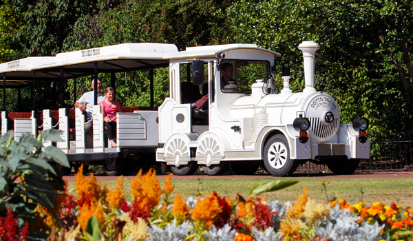 Clifton Express Tractor Train with passengers on board and colourful flowers in the foreground.